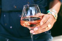 Dégustation de vins Château de l'Aumérade