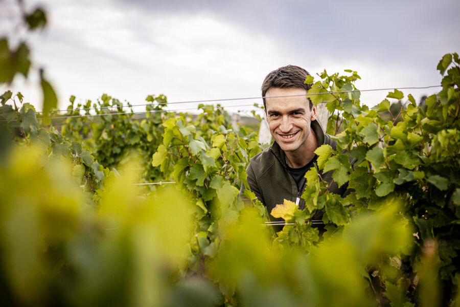 Château des Jacques à Romanèche-Thorins