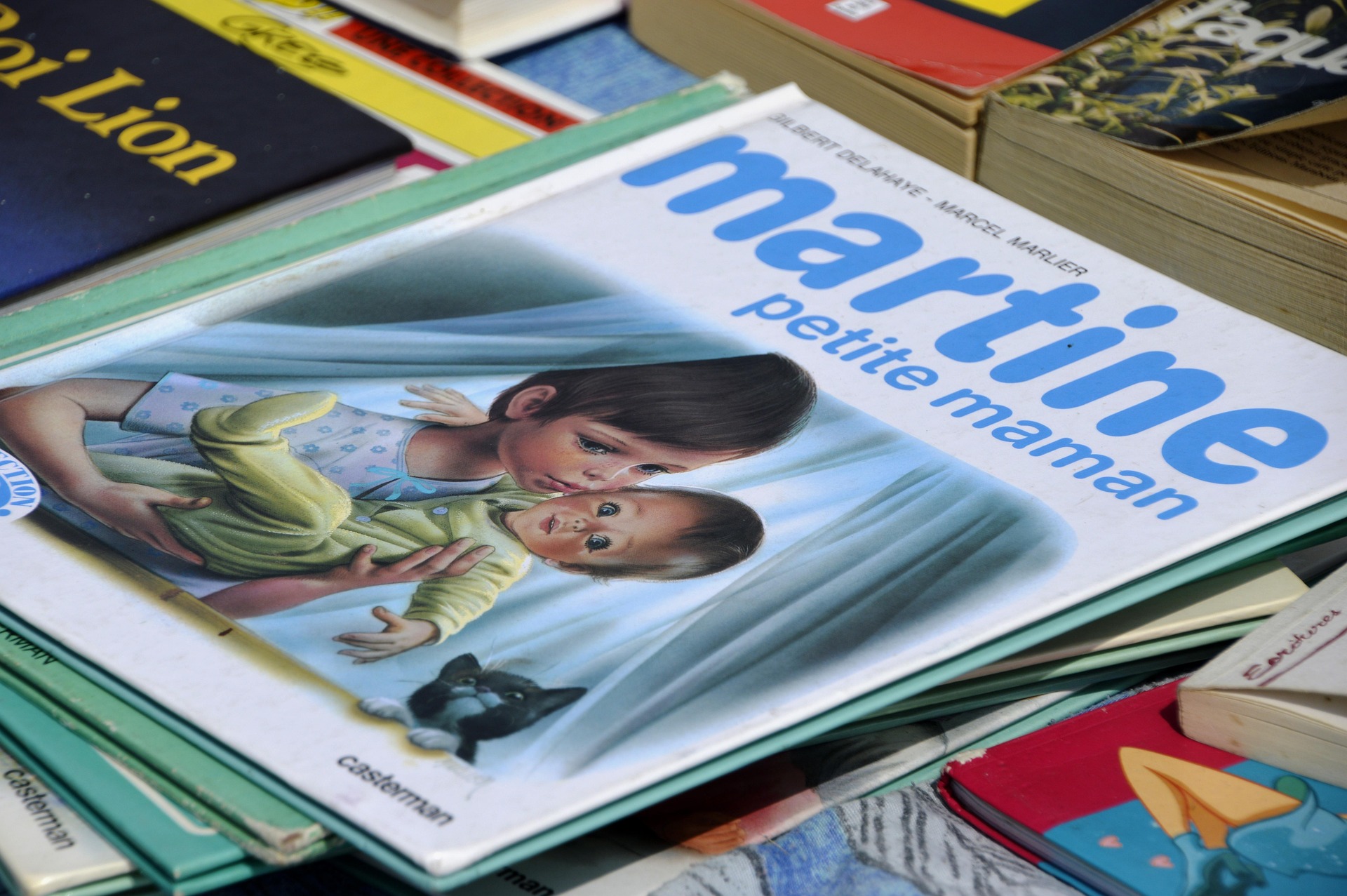 Vide Grenier de la Coopérative scolaire de l'Ecole