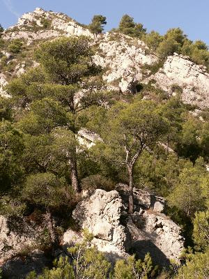 La Penne, au-dessus de la vallée de Huveaune, La Penne-sur-Huveaune - photo 3