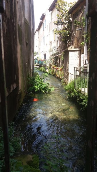 5 Fontaine de Vaucluse