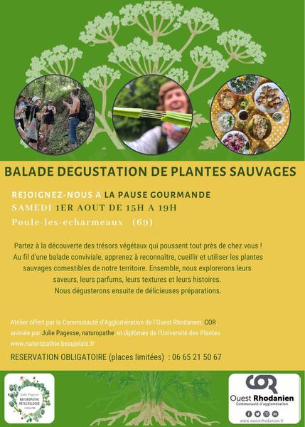 Balade guidée : la biodiversité floristique des Echarmeaux