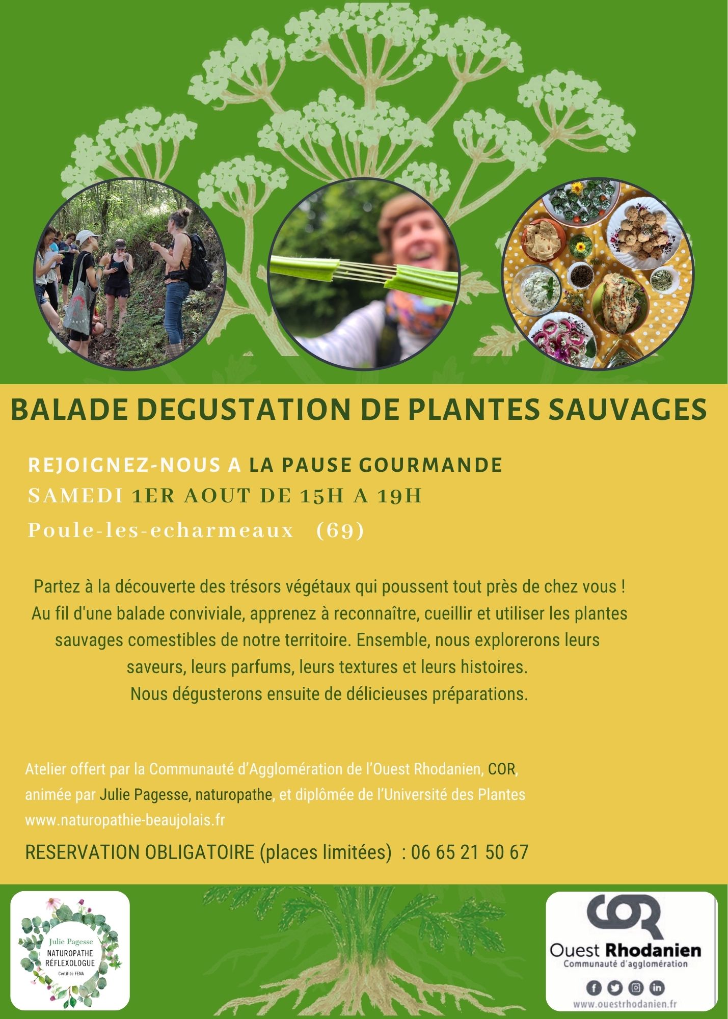 Balade guidée : la biodiversité floristique des Echarmeaux_Poule-les-Écharmeaux
