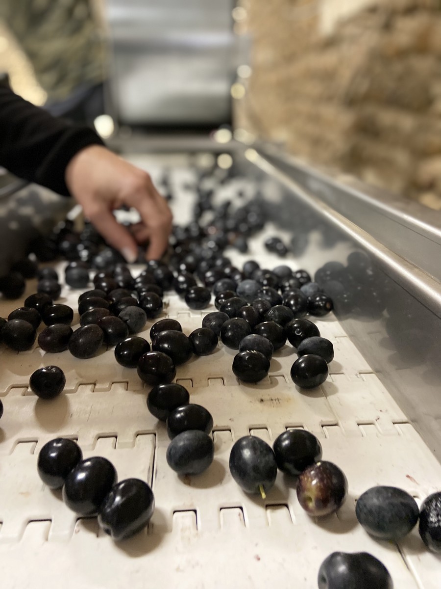 Maricera, Aureille - photo 2