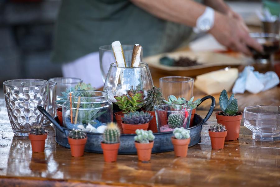 Atelier terrarium
