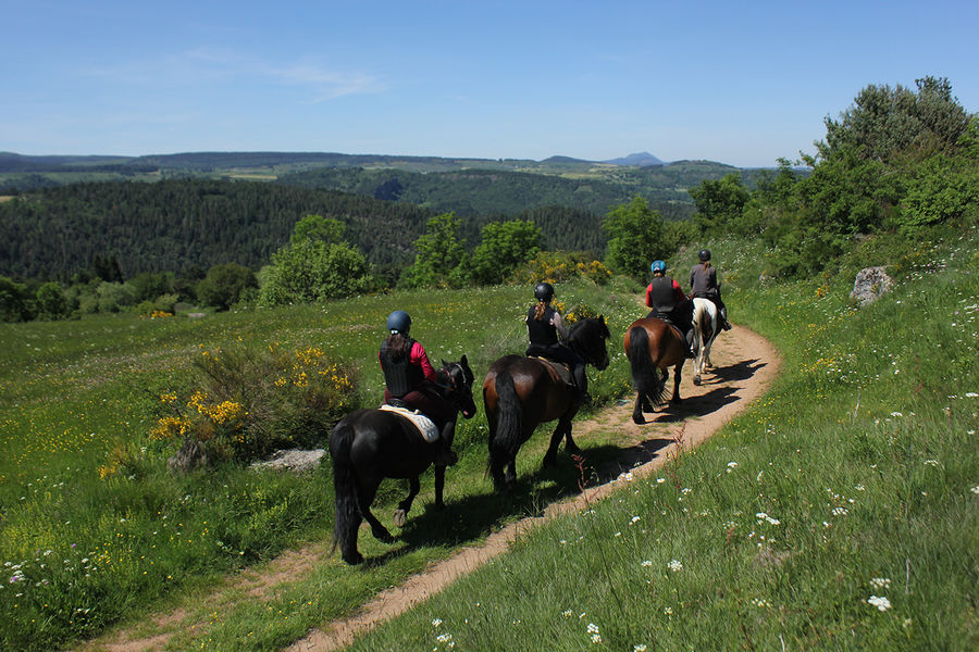 Activités des Galopins du Sancy - Domaine équestre de Berthaire
