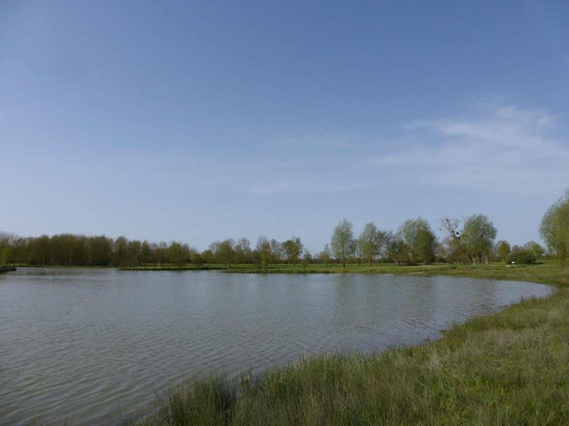 Balade nature : richesses d'un étang