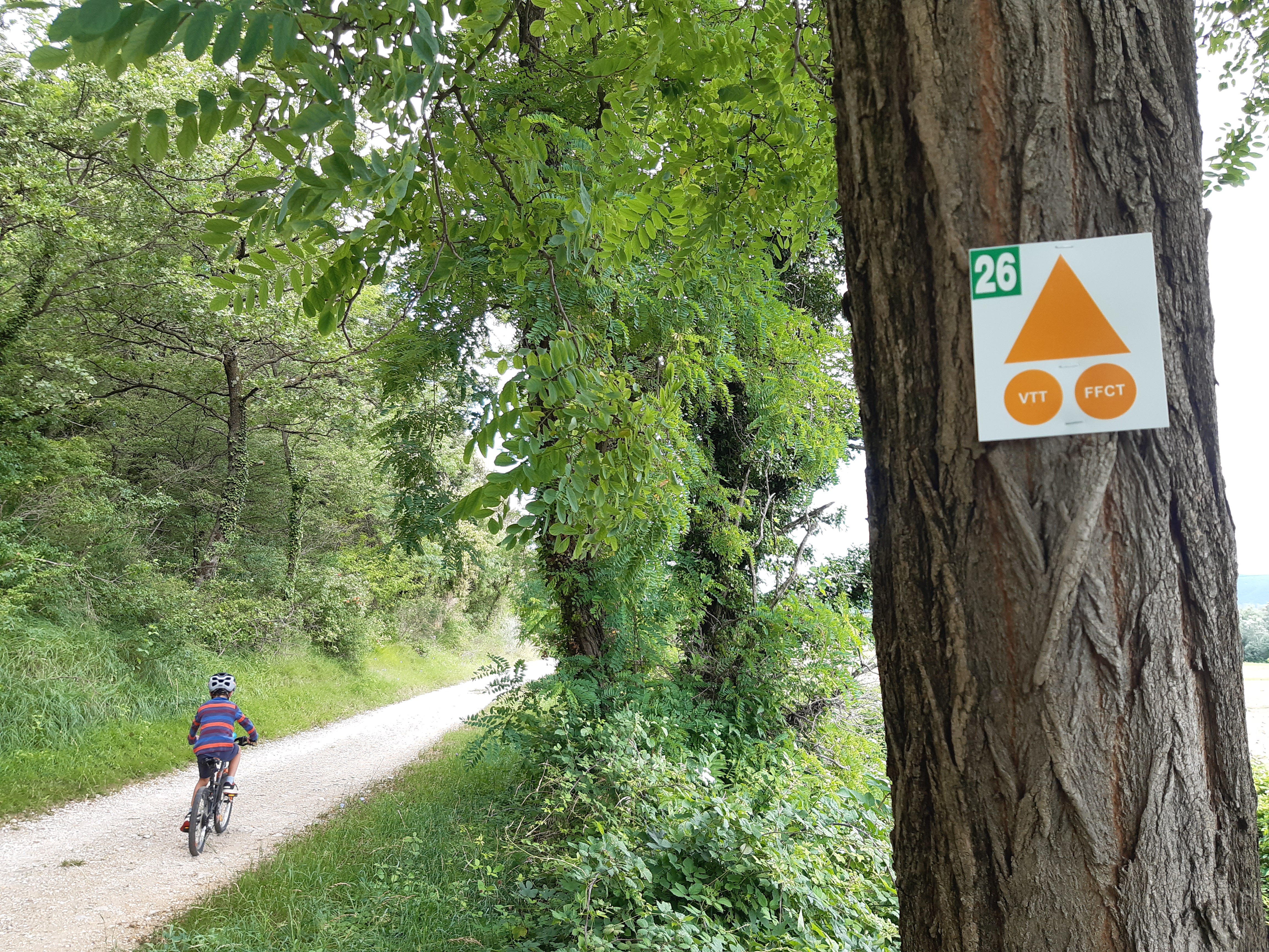 VTT dans les sentiers
