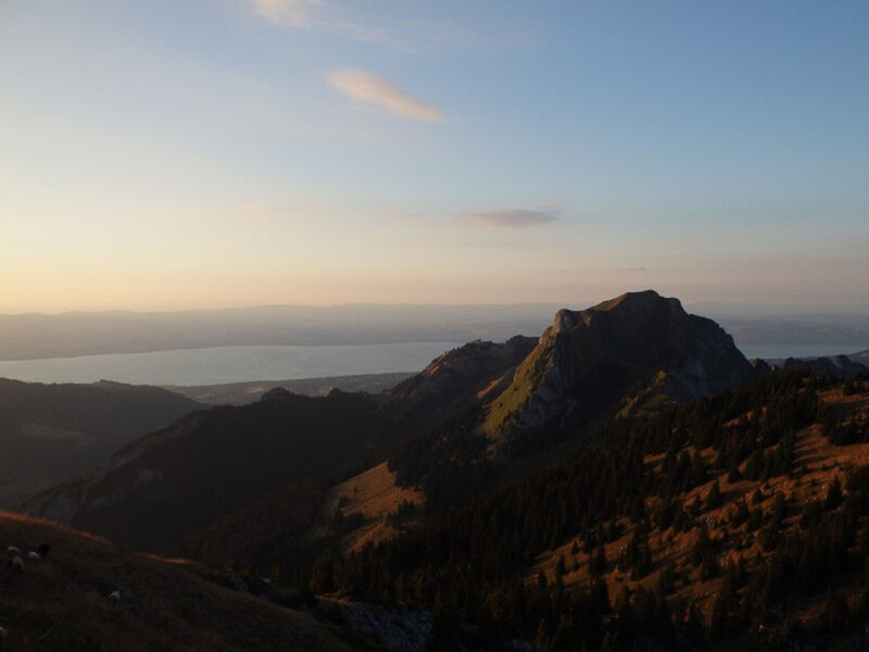 Circuit trail Boucle de Nifflon