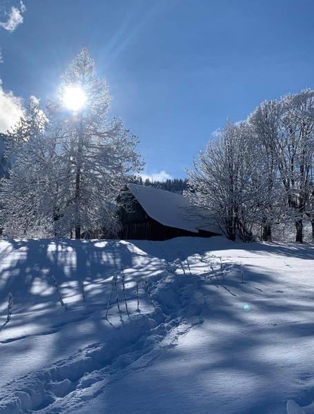 Forêt + petite ferme de l'Aubrac