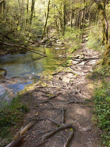 Circuit des caves et des fours du Bugey Sud