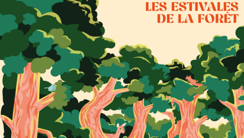 Découvrir la gestion forestière