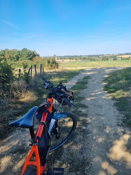 Les grandes terres de Marboz