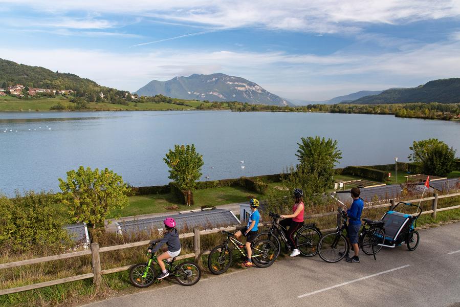 La boucle des deux rives du Rhône : balade vélo facile entre la ViaRhôna et la voie verte Via Grand Colombier._Culoz-Béon