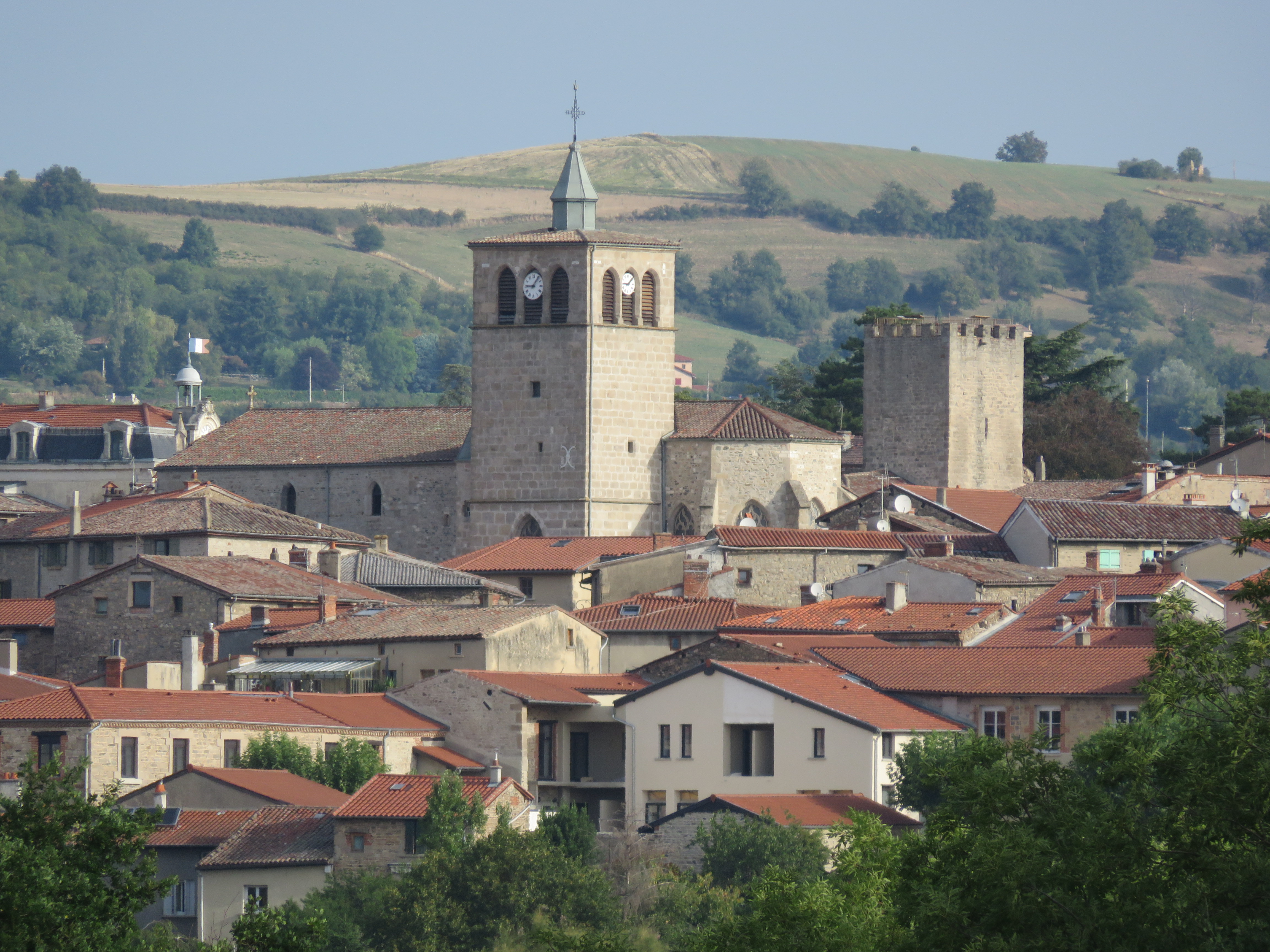Vue générale village MORNANT