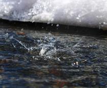 L’eau dans tous ses états. Atelier jeune public_Villard-Bonnot