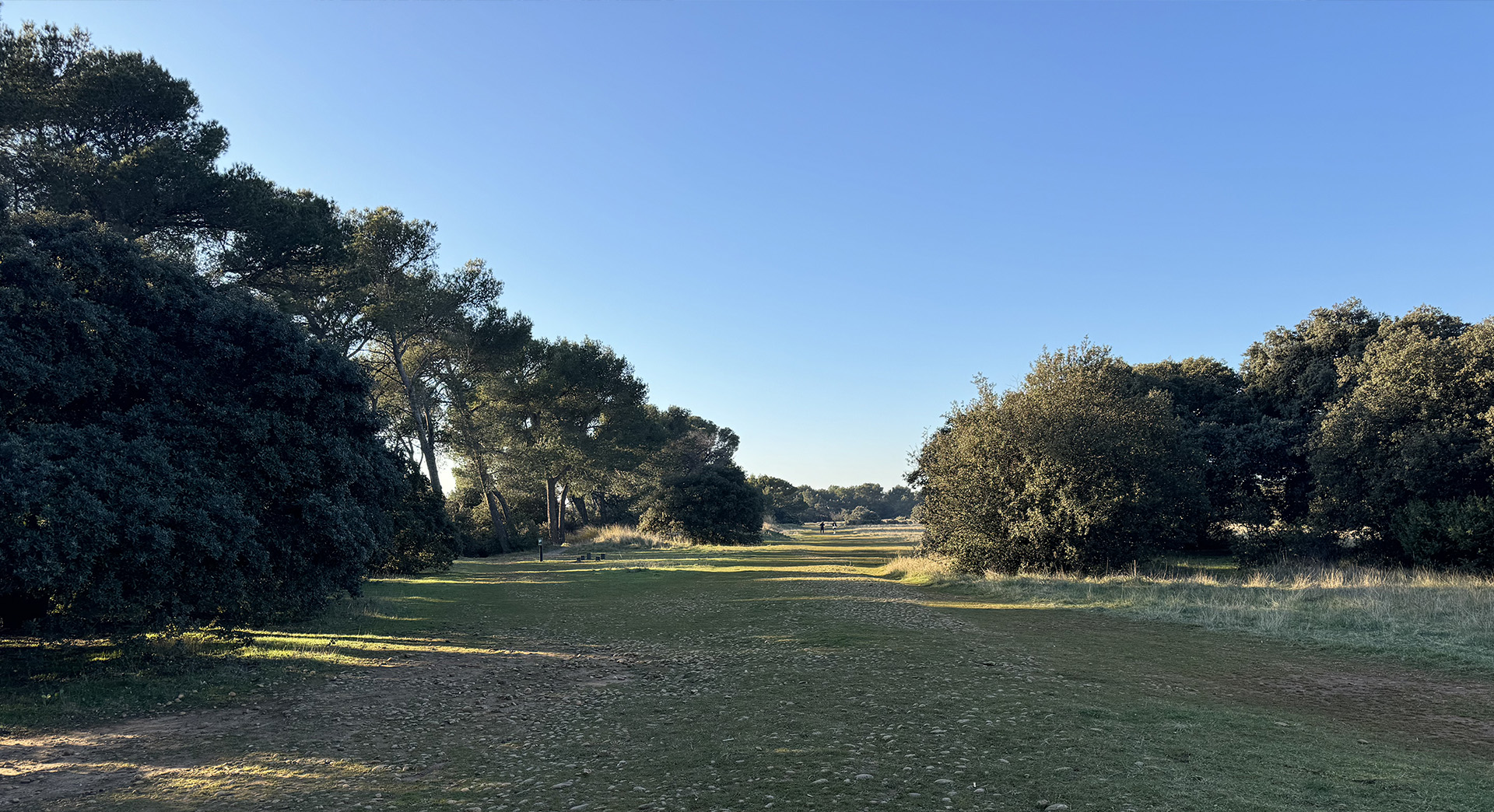 Plateau de la crau