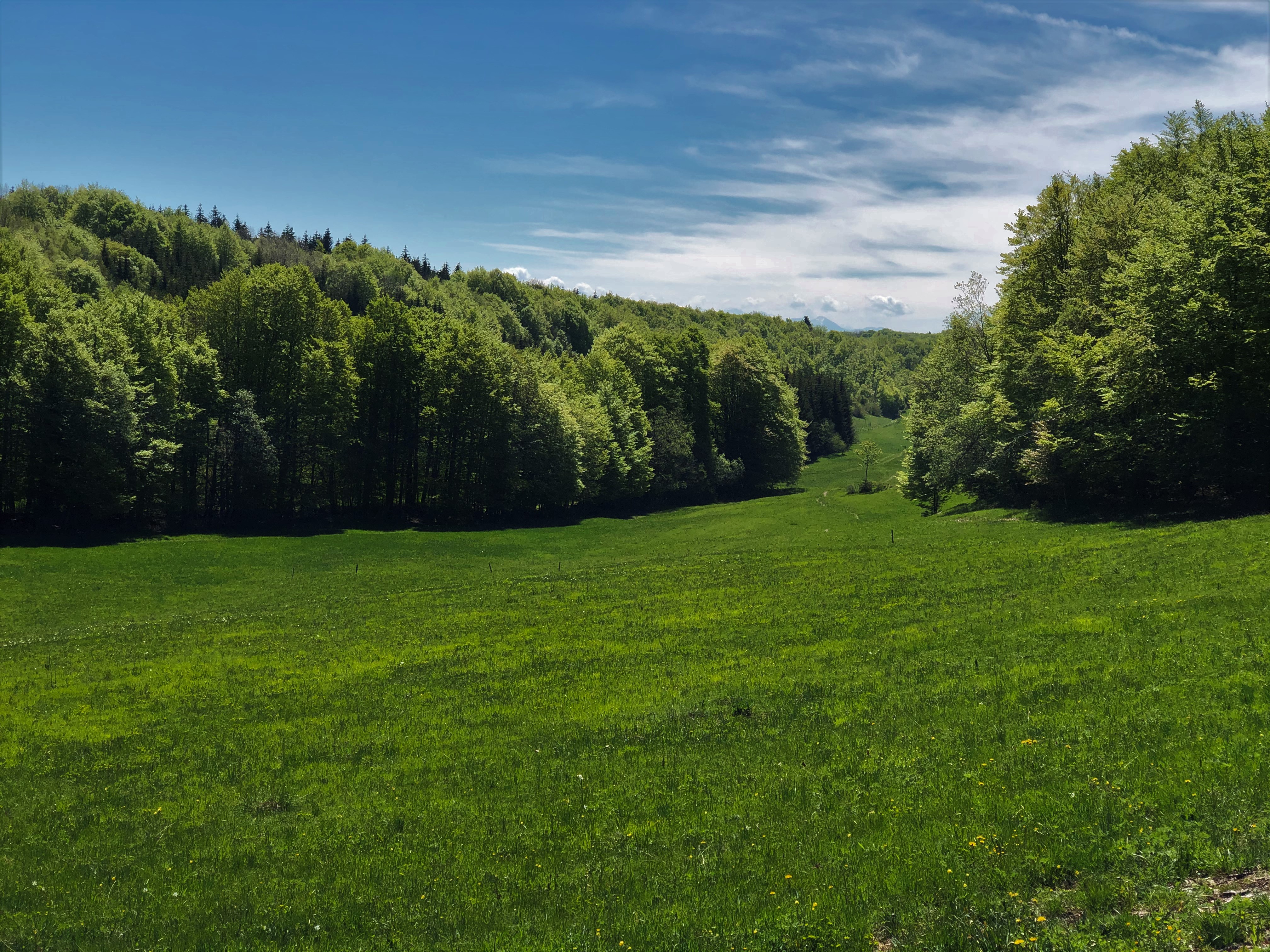 Parcours VTTAE 13 rouge - Le sud du Plateau de Retord - Espace FFC Ain Forestire