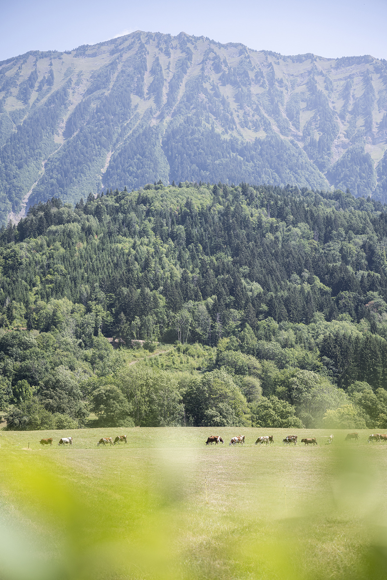 photosFeed-https://static.apidae-tourisme.com/filestore/objets-touristiques/images/121/37/32253305.jpg