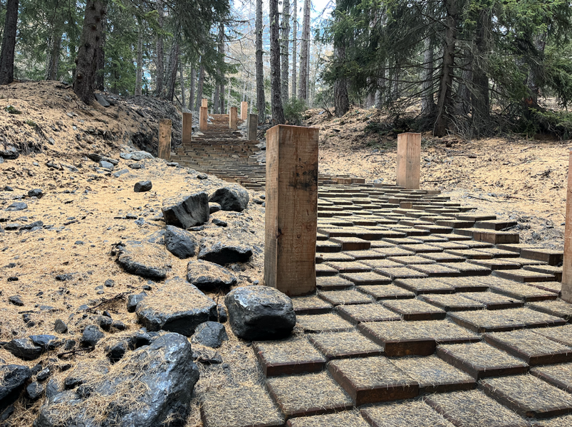 Les petits pas du chemin du Petit Bonheur