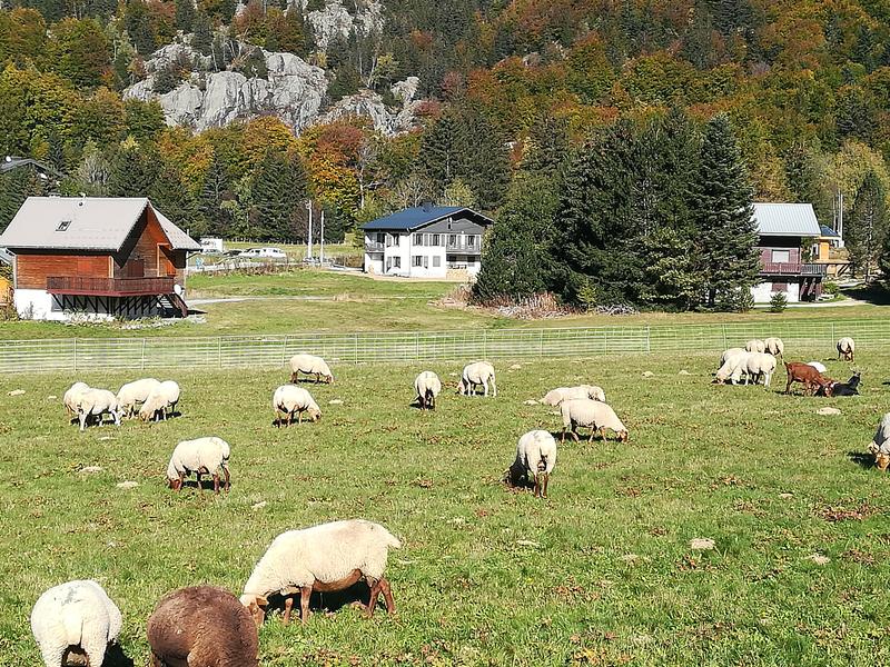 Vue extérieure été