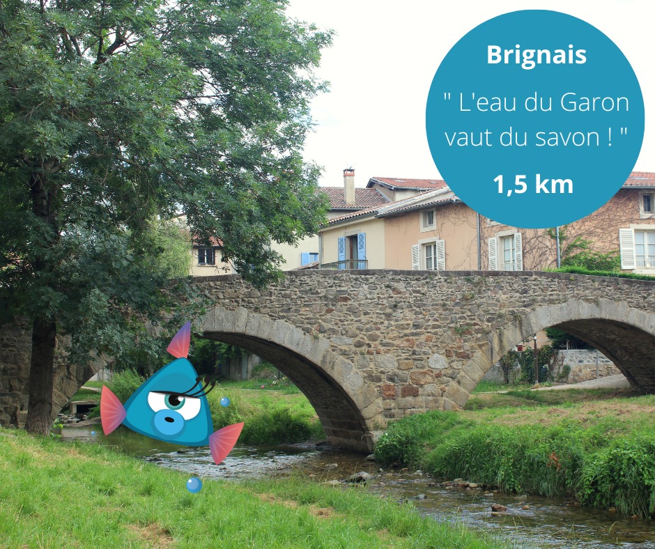 Le Garon