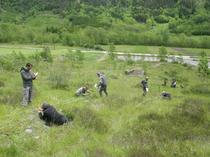 077236_HD PRAIRIES FAUCHE COL ORNON