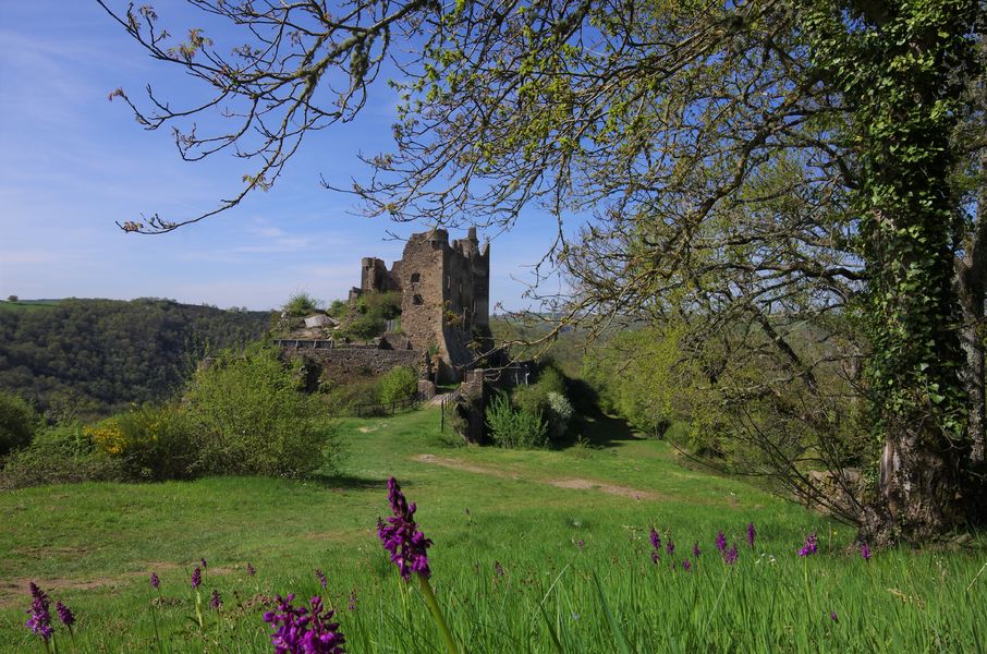 Château Rocher
