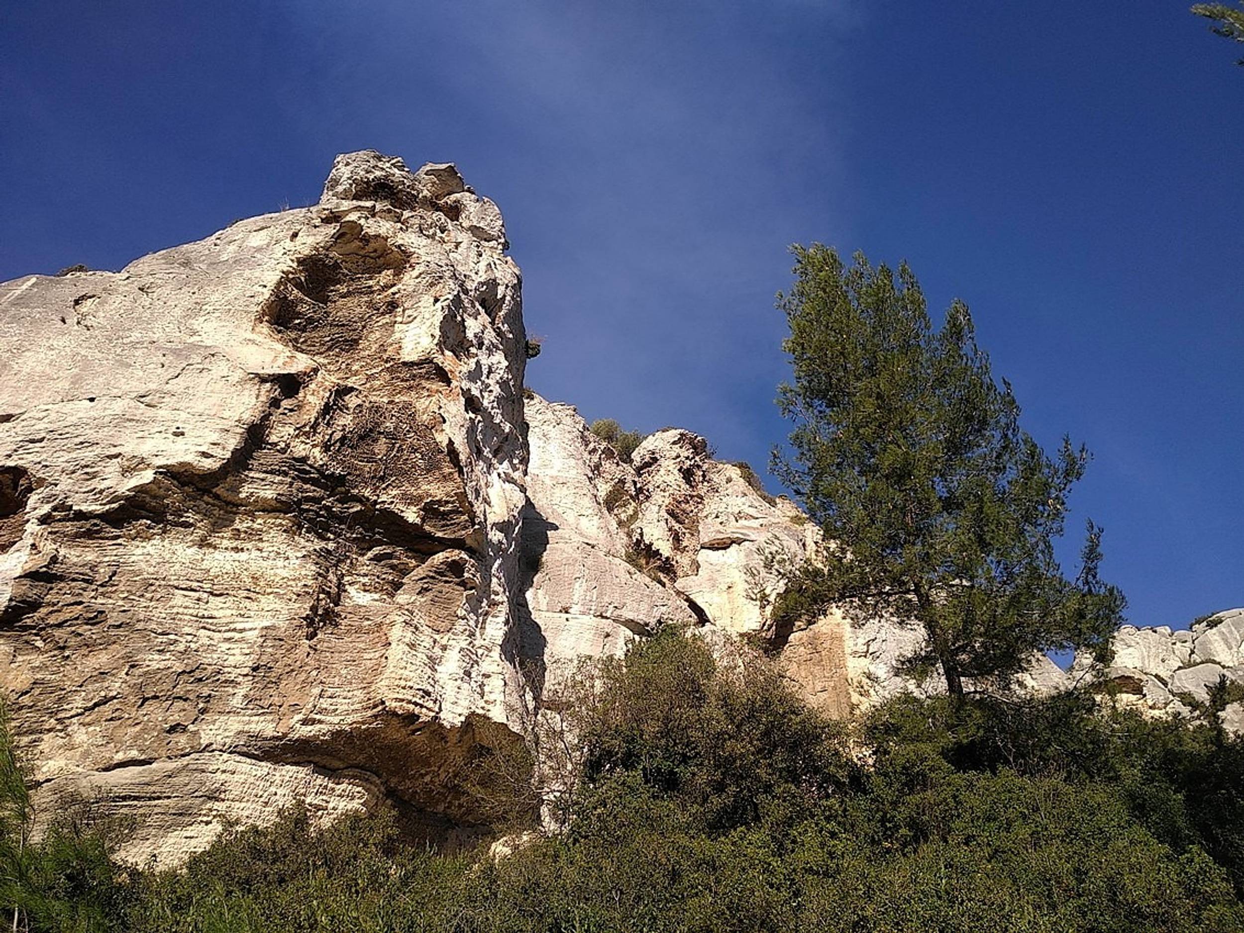 TARASCON – La forêt méditerranéenne à VTT — photo 3