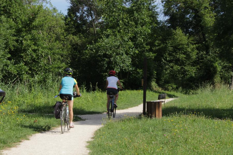Le bois de l'Ane_Chavannes