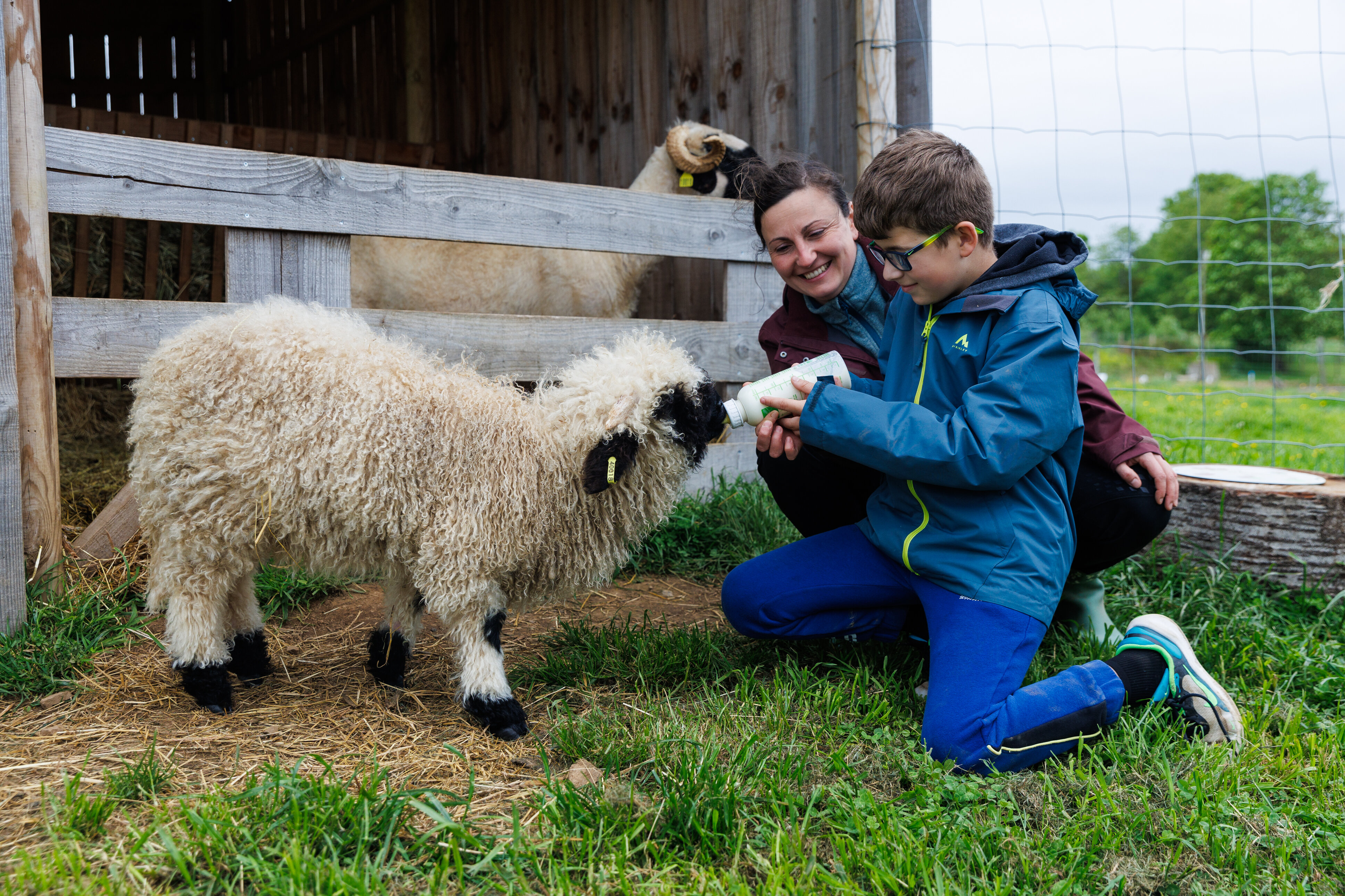 La Ferme de la Marinette - Visite ferme pédagogique