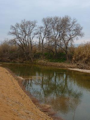 Berre l'Etang : la randonnée des amis