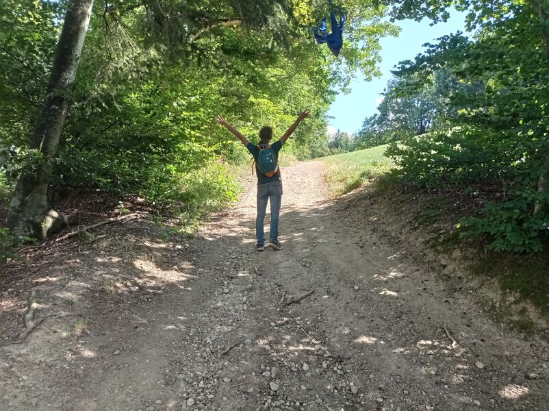 sentier pédestre : balade au Bois de Fessy