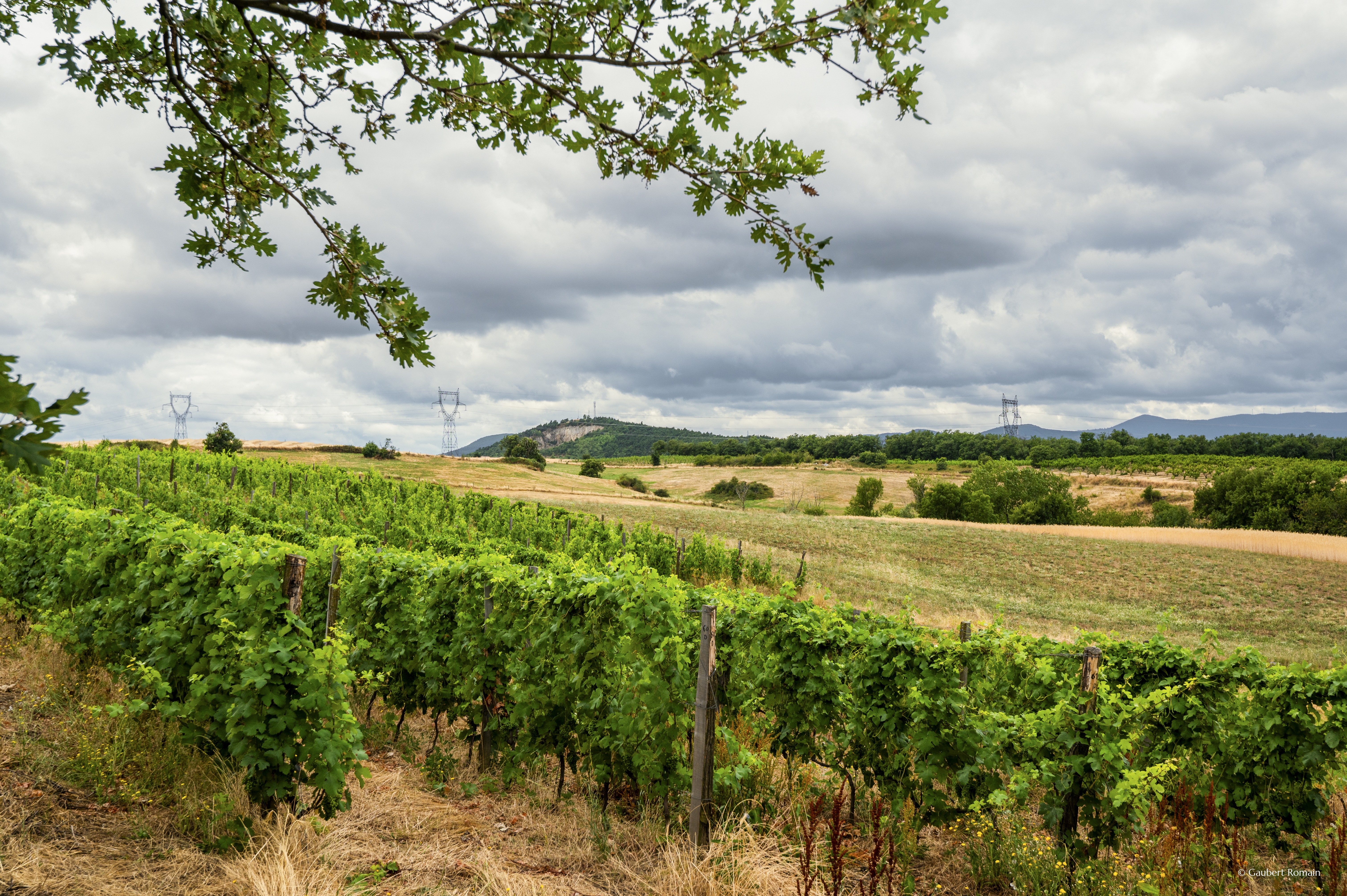 Domaine des Bardes_Eclassan