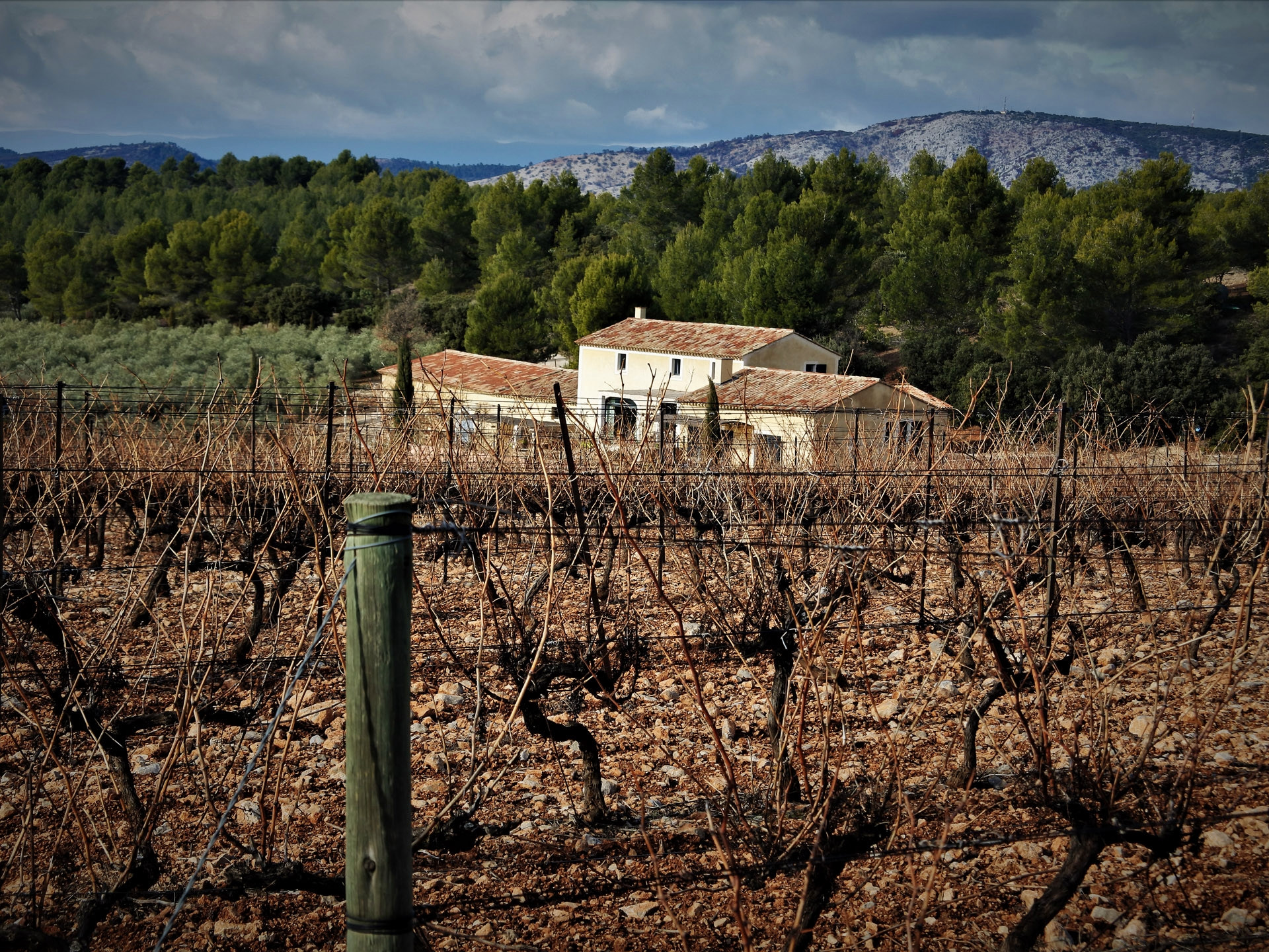 Le vignoble aixois, le vignoble des bastides - Un week-end à la montagne de la Vautubière