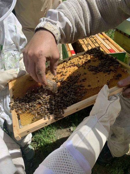 Entremonts et Abeilles - St Pierre d'Entremont