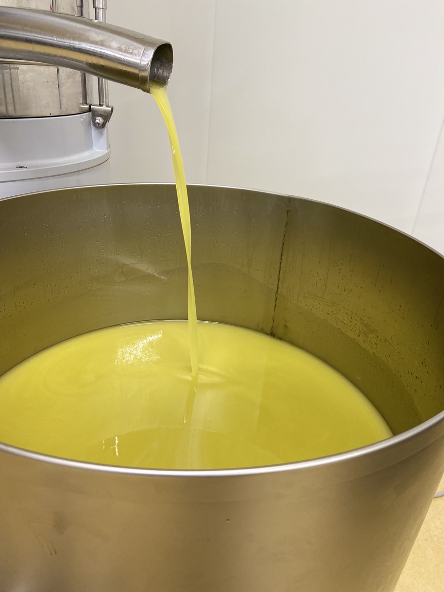 Maricera, Aureille - photo 6