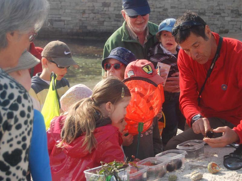 Les petits explorateurs du littoral