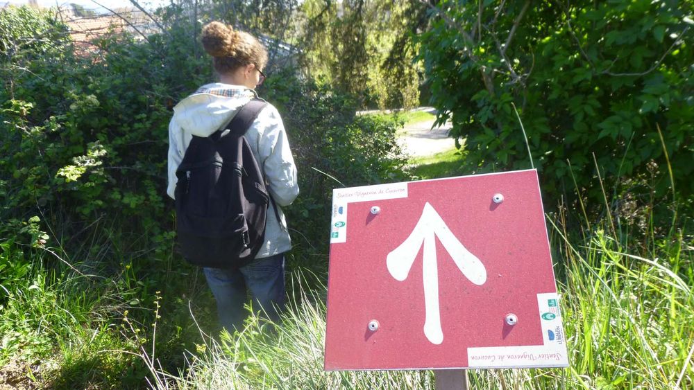Sentier vigneron Cucuron