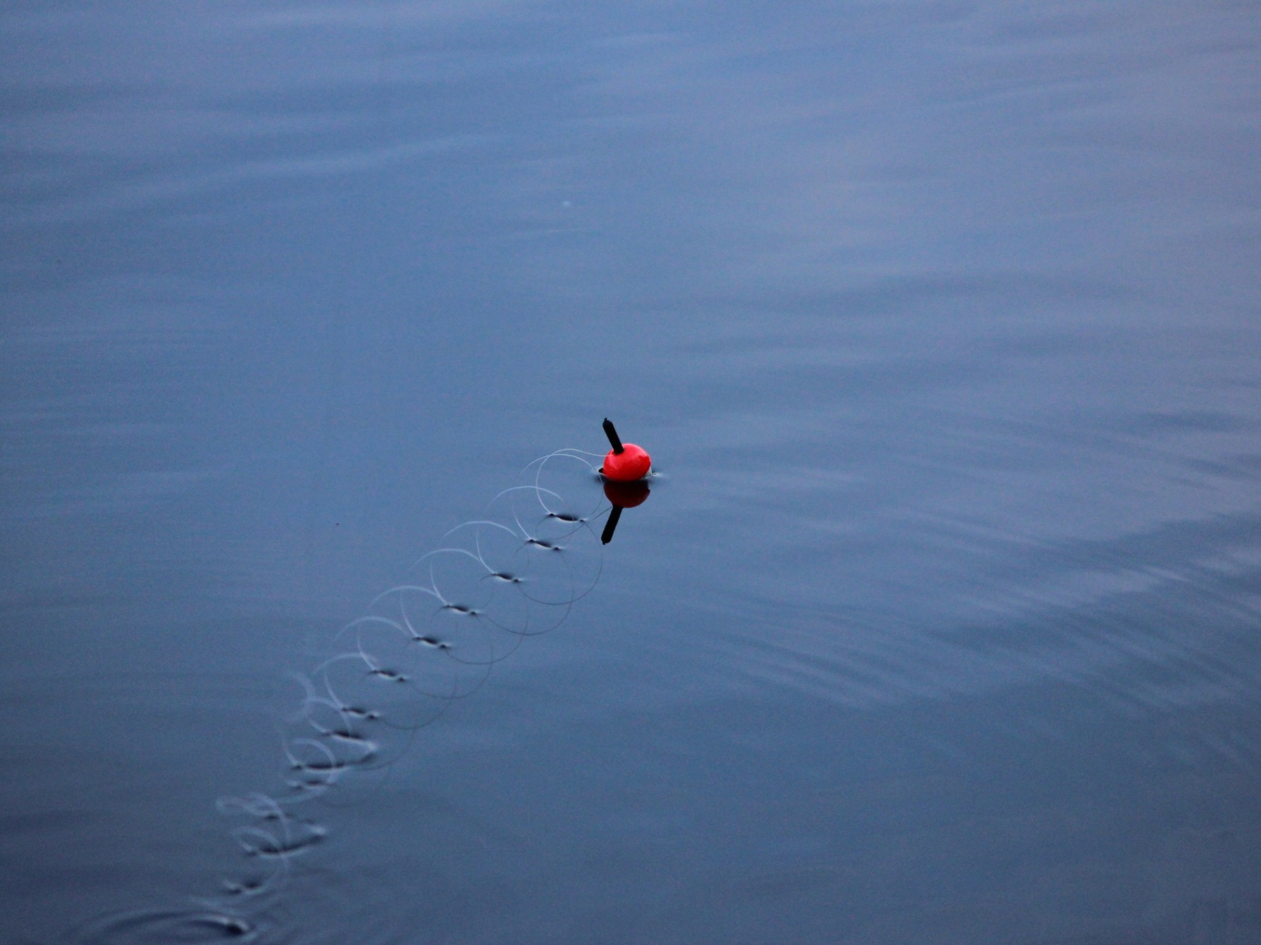 Amicale des Pêcheurs de La Grève sur Mignon