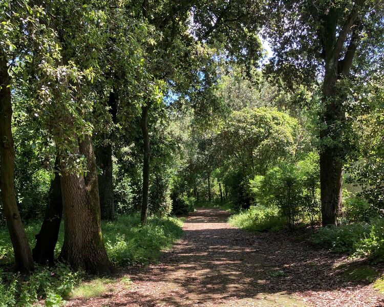 Parc Franck Delmas