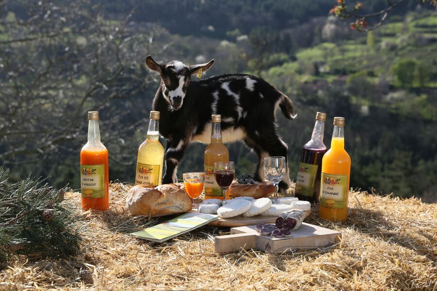 De Ferme en Ferme en Ardèche Hermitage