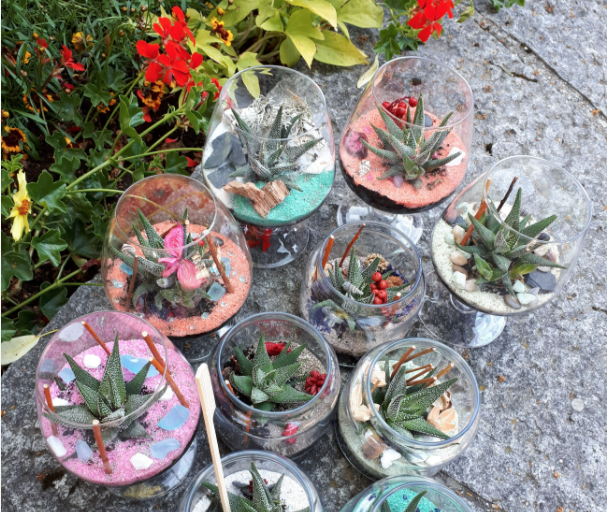 Atelier terrarium
