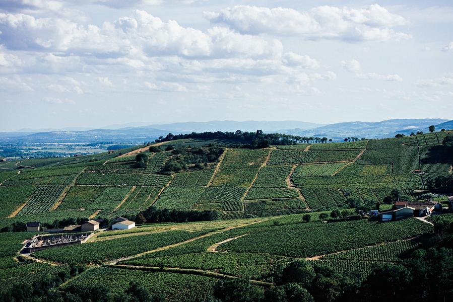 Hills of Moulin a Vent