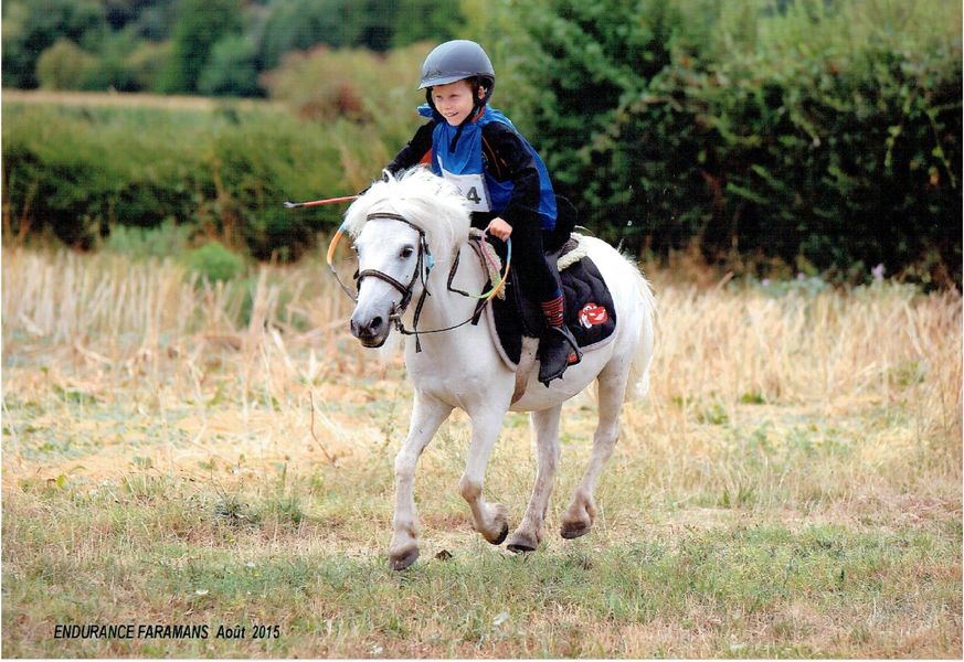 Equitation au Haras du Brin d'Amour