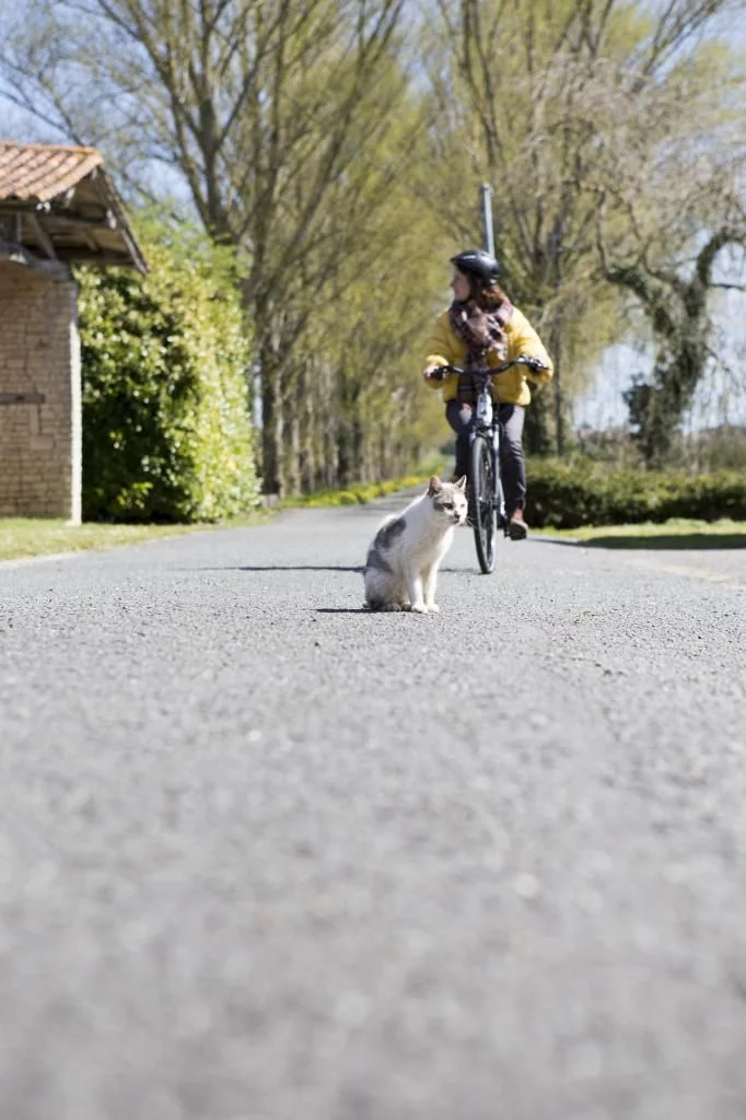 Mai à vélo à la médiathèque