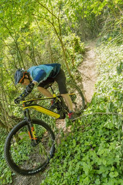 VTT électrique confirmé : sentiers secrets du Massif_Le Grand-Bornand