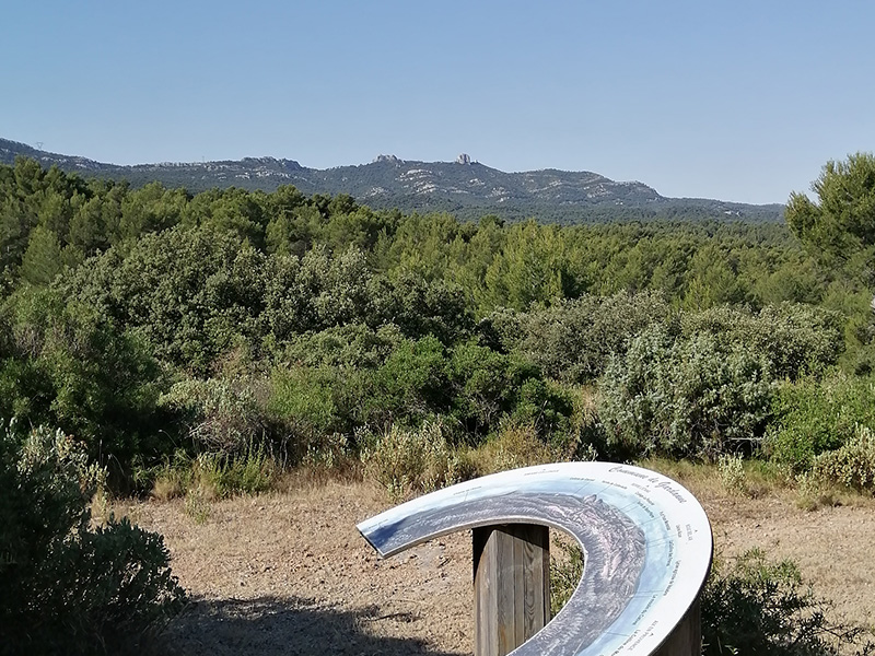 Sentier du Bois du Verdillon