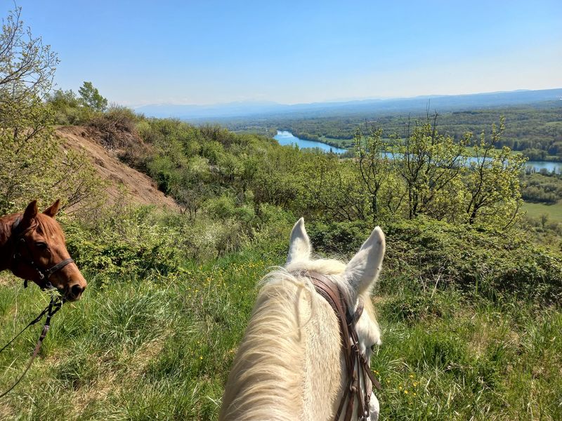 Circuit des caves et des fours du Bugey Sud