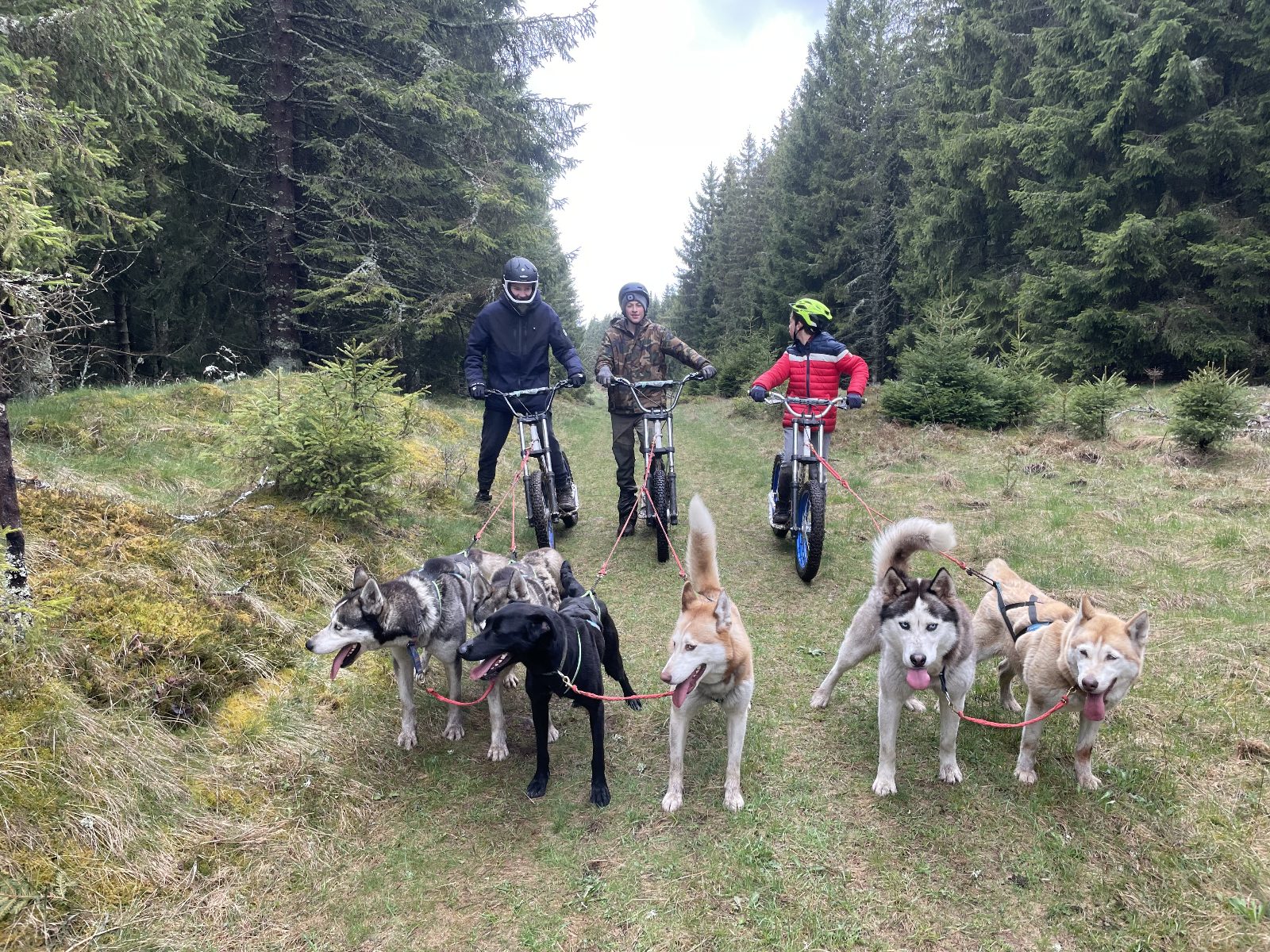 Cani-Trottinette - Evolution 2_Chamonix-Mont-Blanc